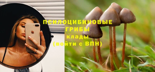 ешки Семилуки