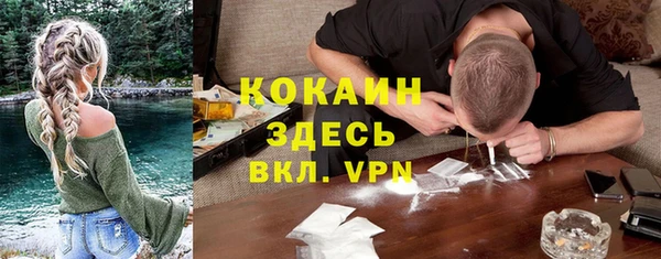ешки Семилуки