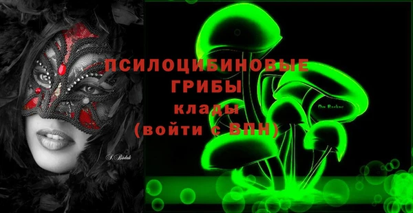 ешки Семилуки