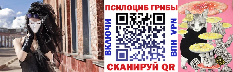 Псилоцибиновые грибы Psilocybe  продажа наркотиков  Ноябрьск 
