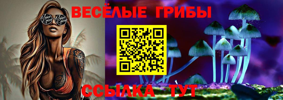 Галлюциногенные грибы прущие грибы  Вход с VPN  Галлюциногенные грибы прущие грибы  Ноябрьск 