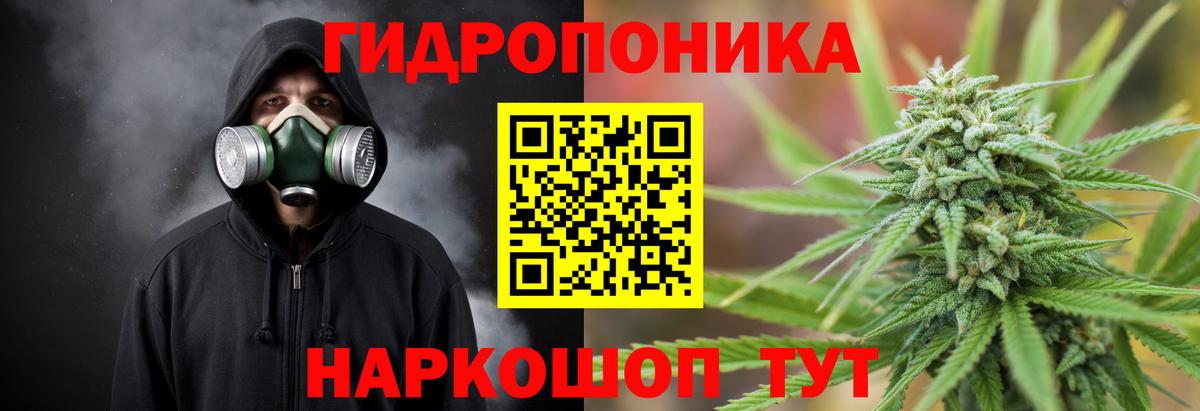 Бошки Шишки конопля  Вход с VPN  Конопля ГИДРОПОН  Ноябрьск  Марихуана THC 21% 